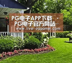 PG电子APP下载 · PG电子官方网站-2025最佳线上电子平台