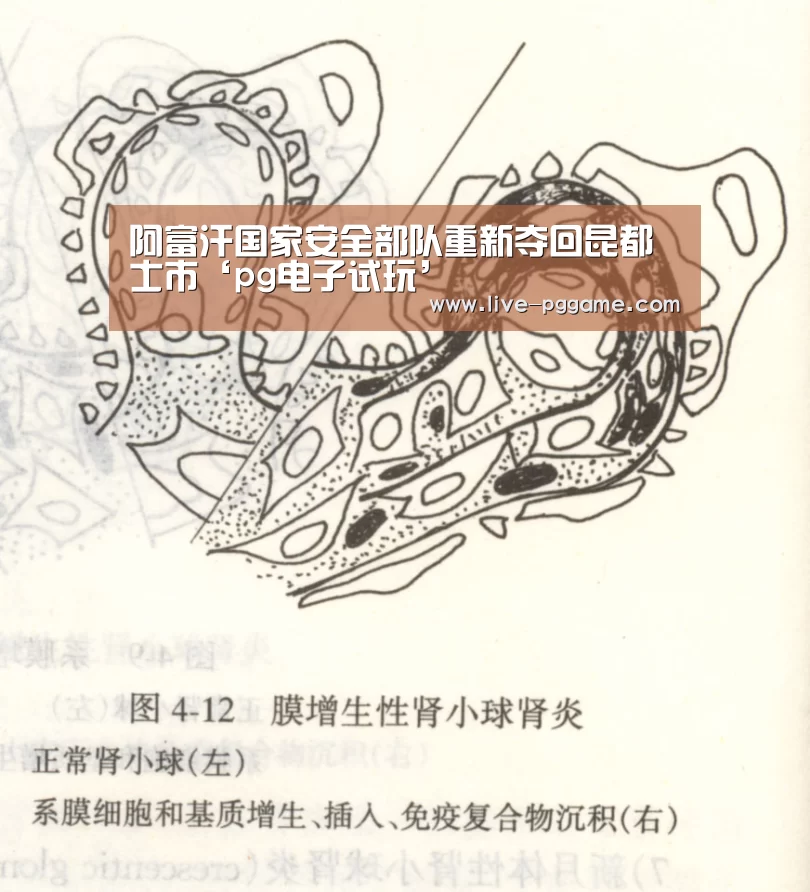 阿富汗国家安全部队重新夺回昆都士市‘pg电子试玩’(图3) pg电子模拟器