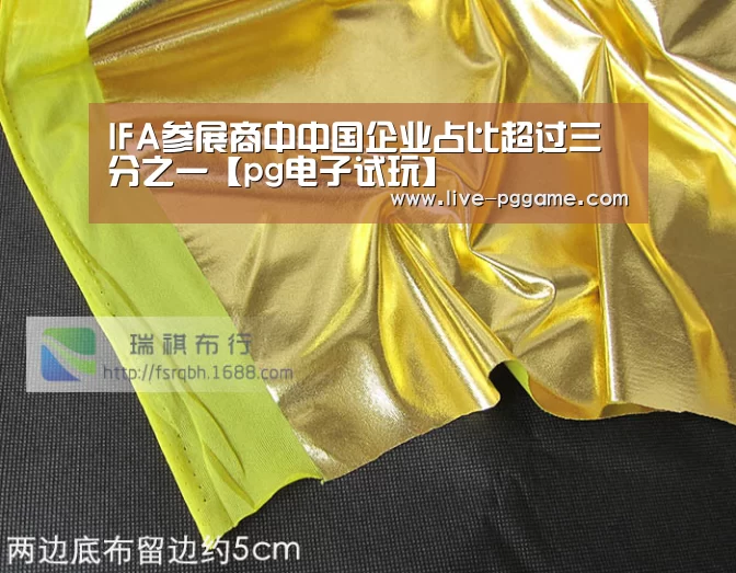 IFA参展商中中国企业占比超过三分之一【pg电子试玩】(图1) pg游戏