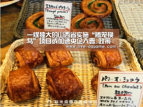一煤独大的山西省实施“腾笼换鸟”项目或加速央企入晋_政策法规_新闻_矿道网:pg游戏(图2) pg电子模拟器