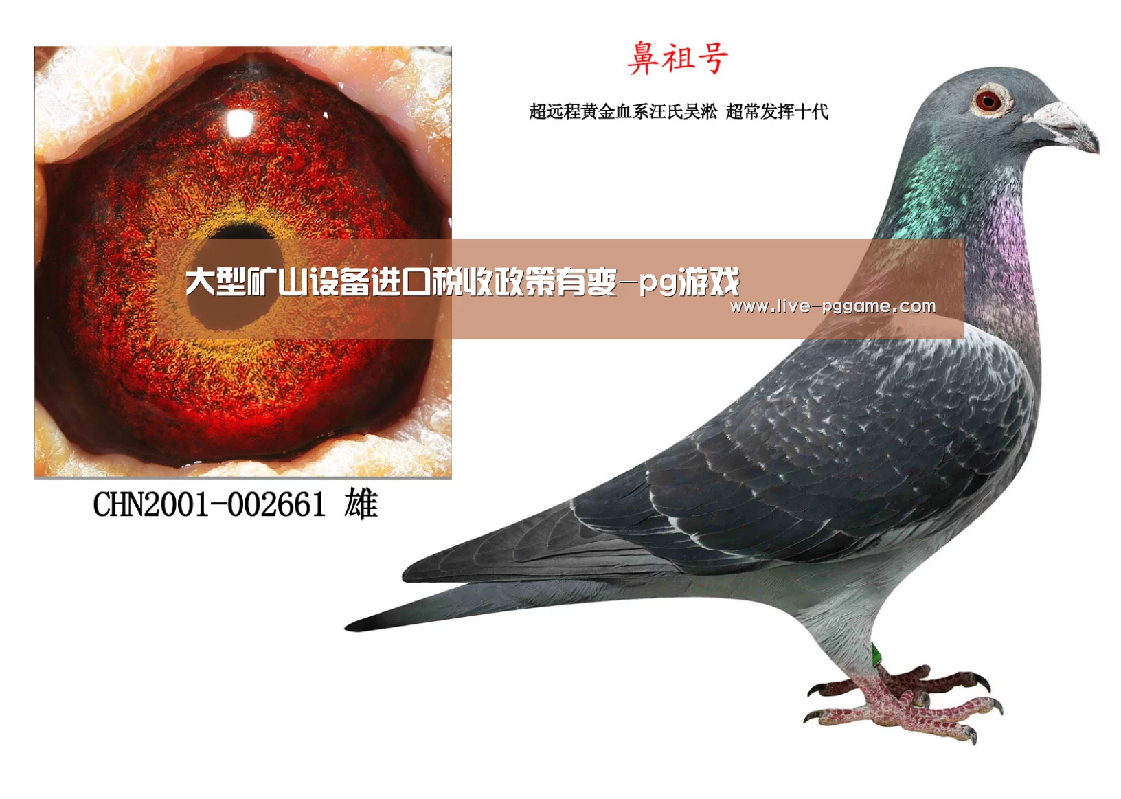 大型矿山设备进口税收政策有变-pg游戏(图2) pg电子试玩