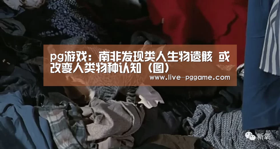 pg电子模拟器